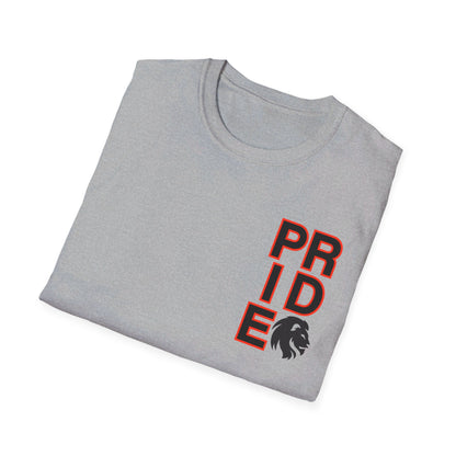 ADULT Pride Baseball Softstyle Tee (multi color options)