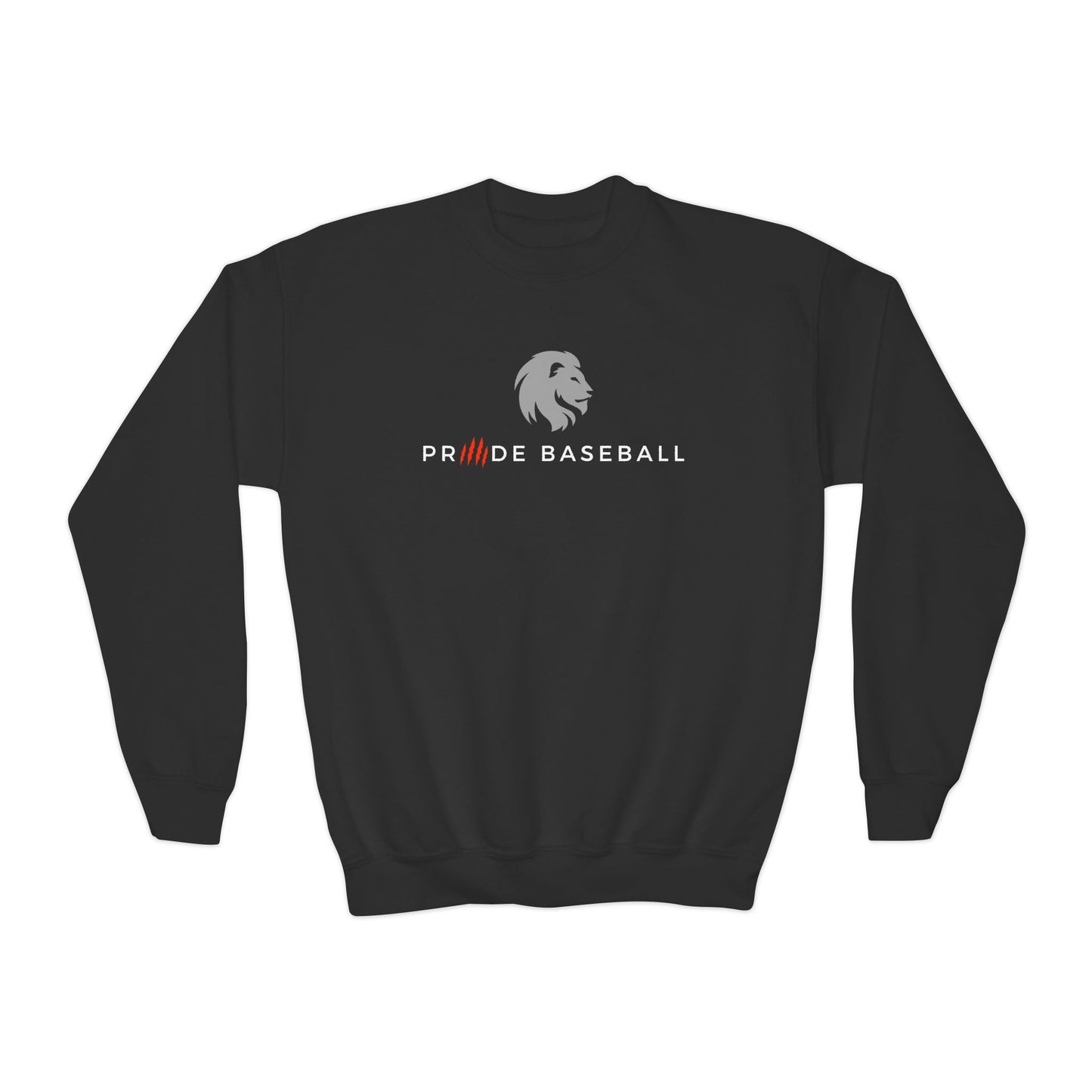 Black Friday Special - Youth Crewneck Sweatshirt - Pride Baseball