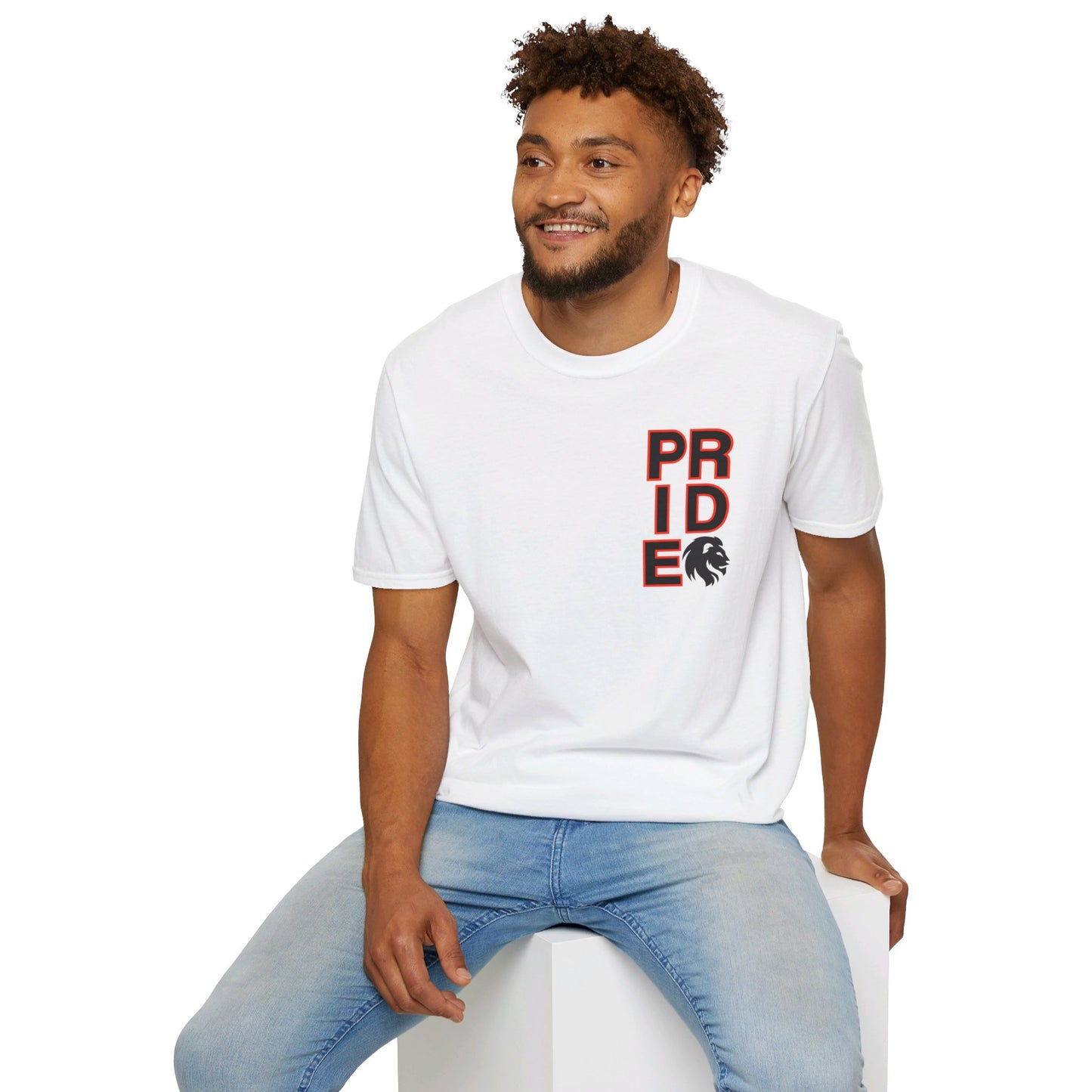 ADULT Pride Baseball Softstyle Tee (multi color options)