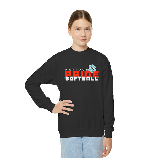 Black Friday Special - Youth Crewneck Sweatshirt - Pride Softball