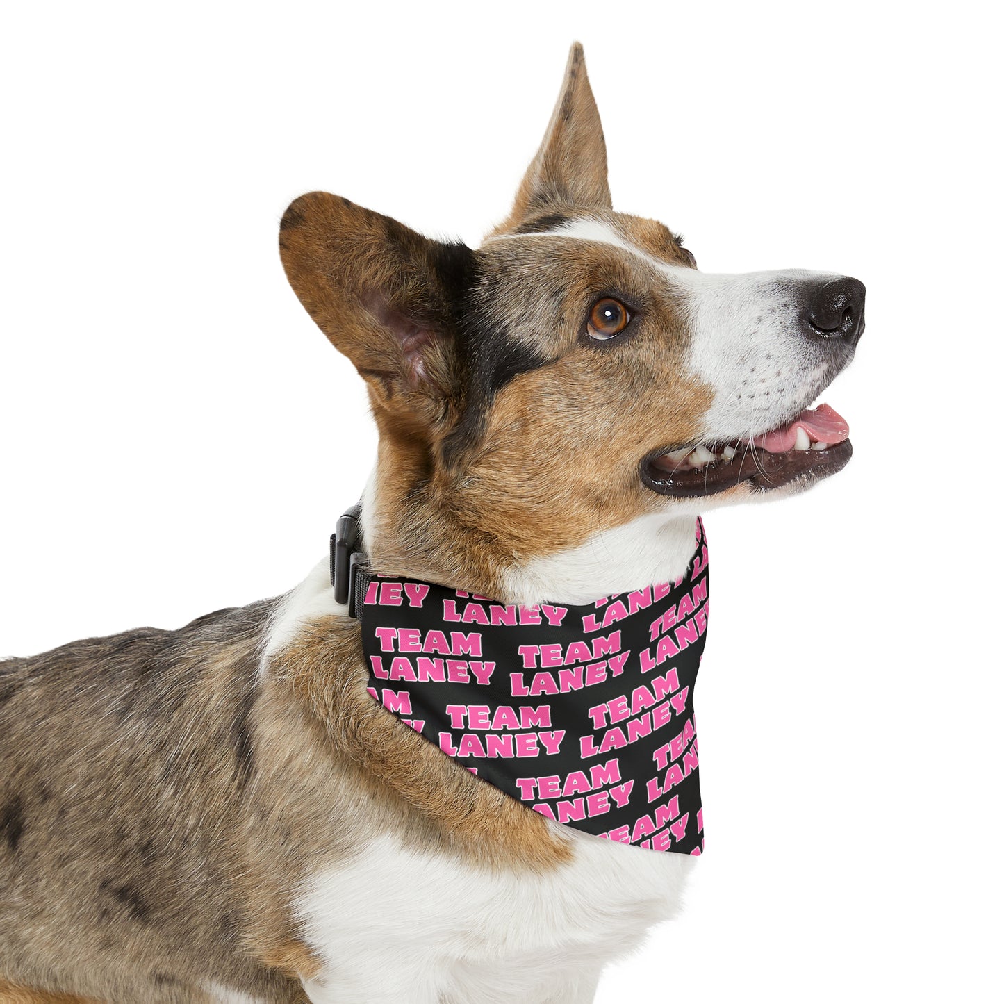 Team Laney Pet Bandana Collar