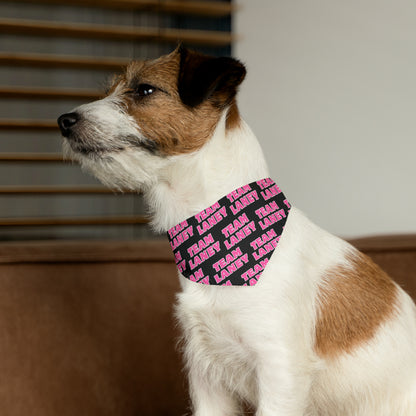 Team Laney Pet Bandana Collar