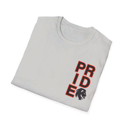 ADULT Pride Baseball Softstyle Tee (multi color options)