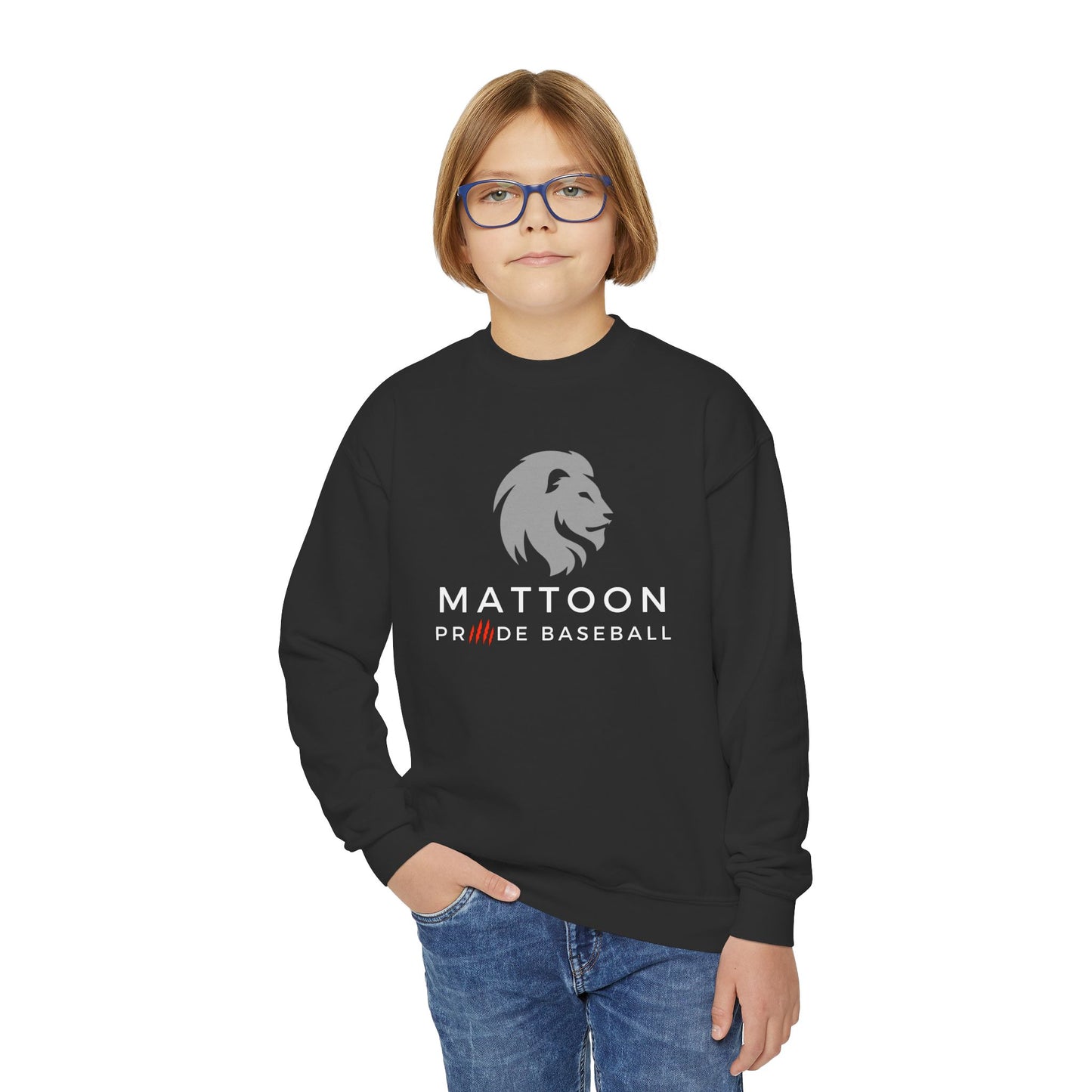 Black Friday Special - Youth Crewneck Sweatshirt - Pride Baseball