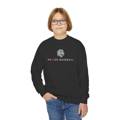 Black Friday Special - Youth Crewneck Sweatshirt - Pride Baseball