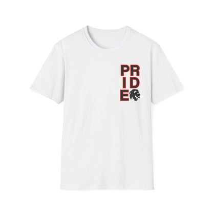 ADULT Pride Baseball Softstyle Tee (multi color options)