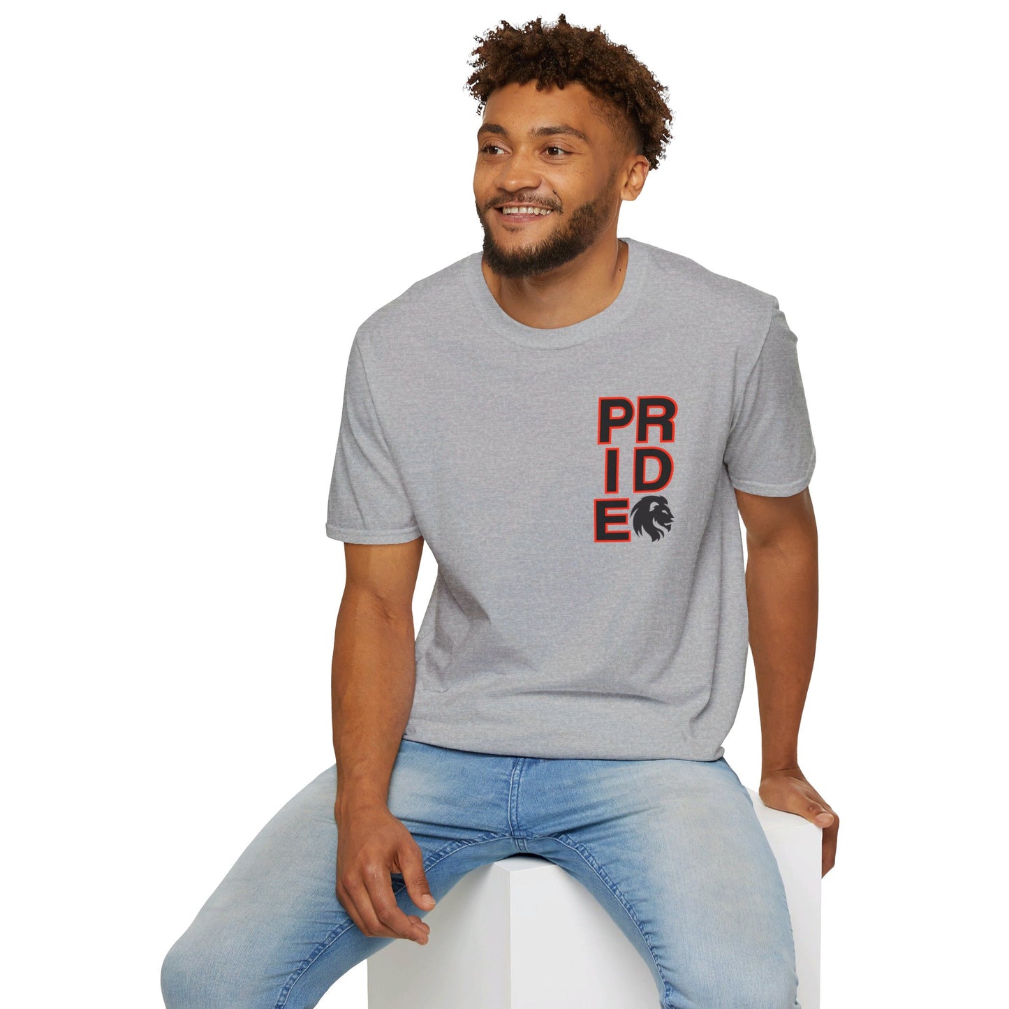 ADULT Pride Baseball Softstyle Tee (multi color options)