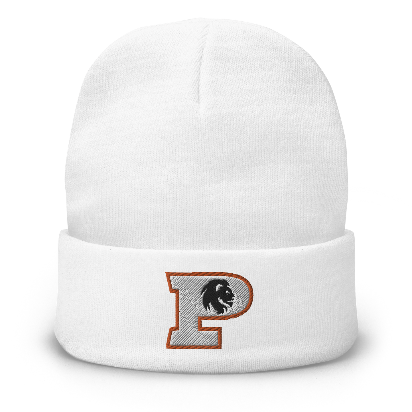 Pride Baseball Embroidered Beanie